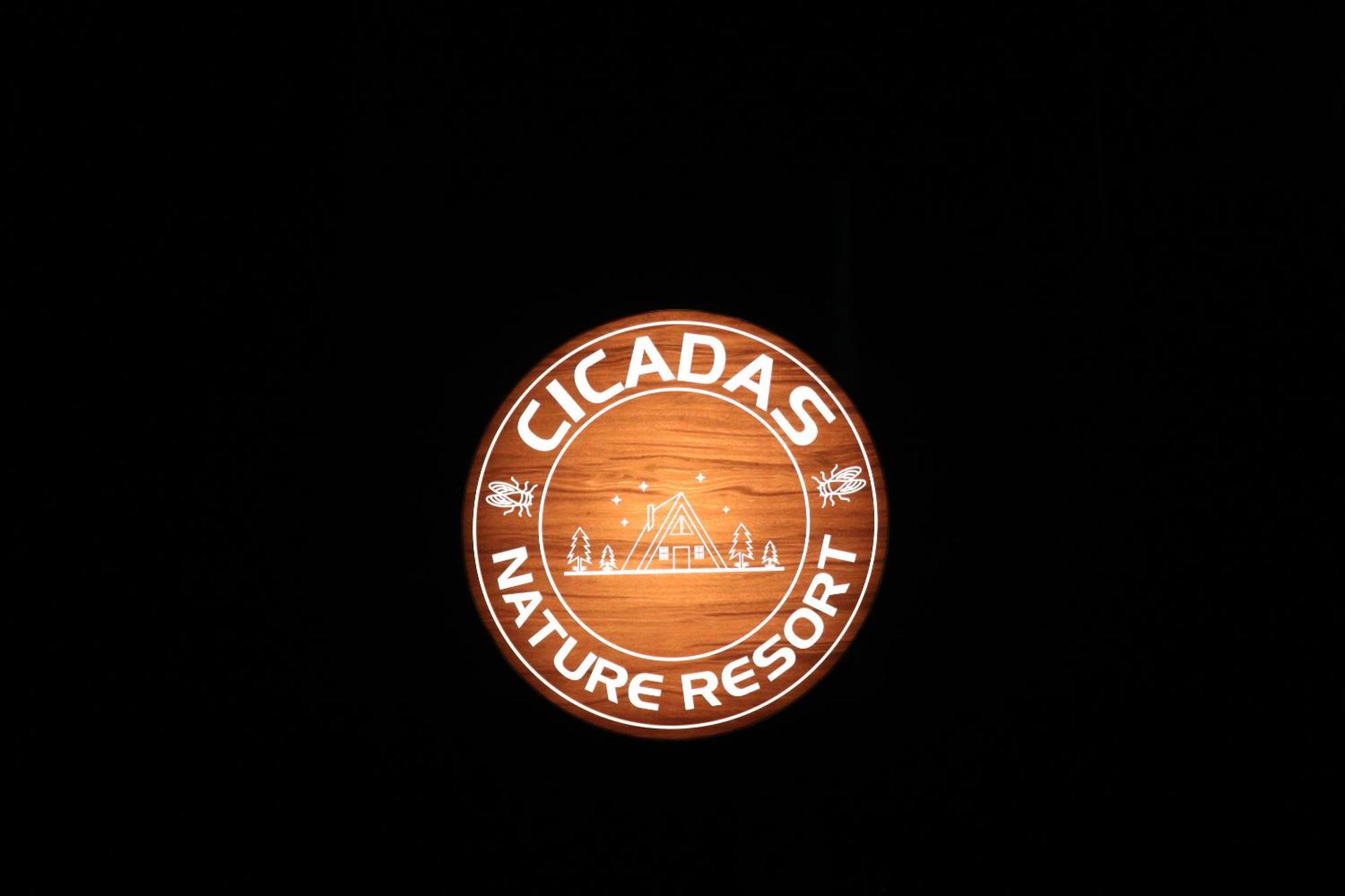 Cicadas Nature - A Frame
