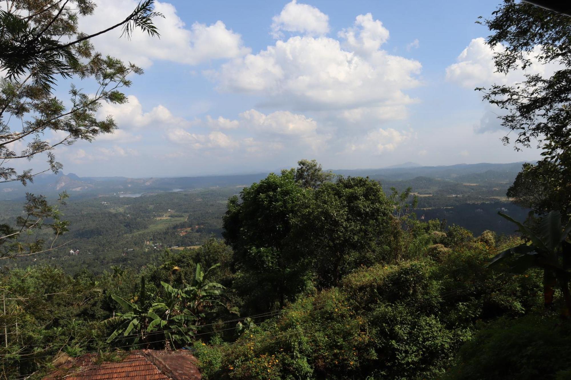 Cicadas Nature - A Frame Farm stay Wayanad