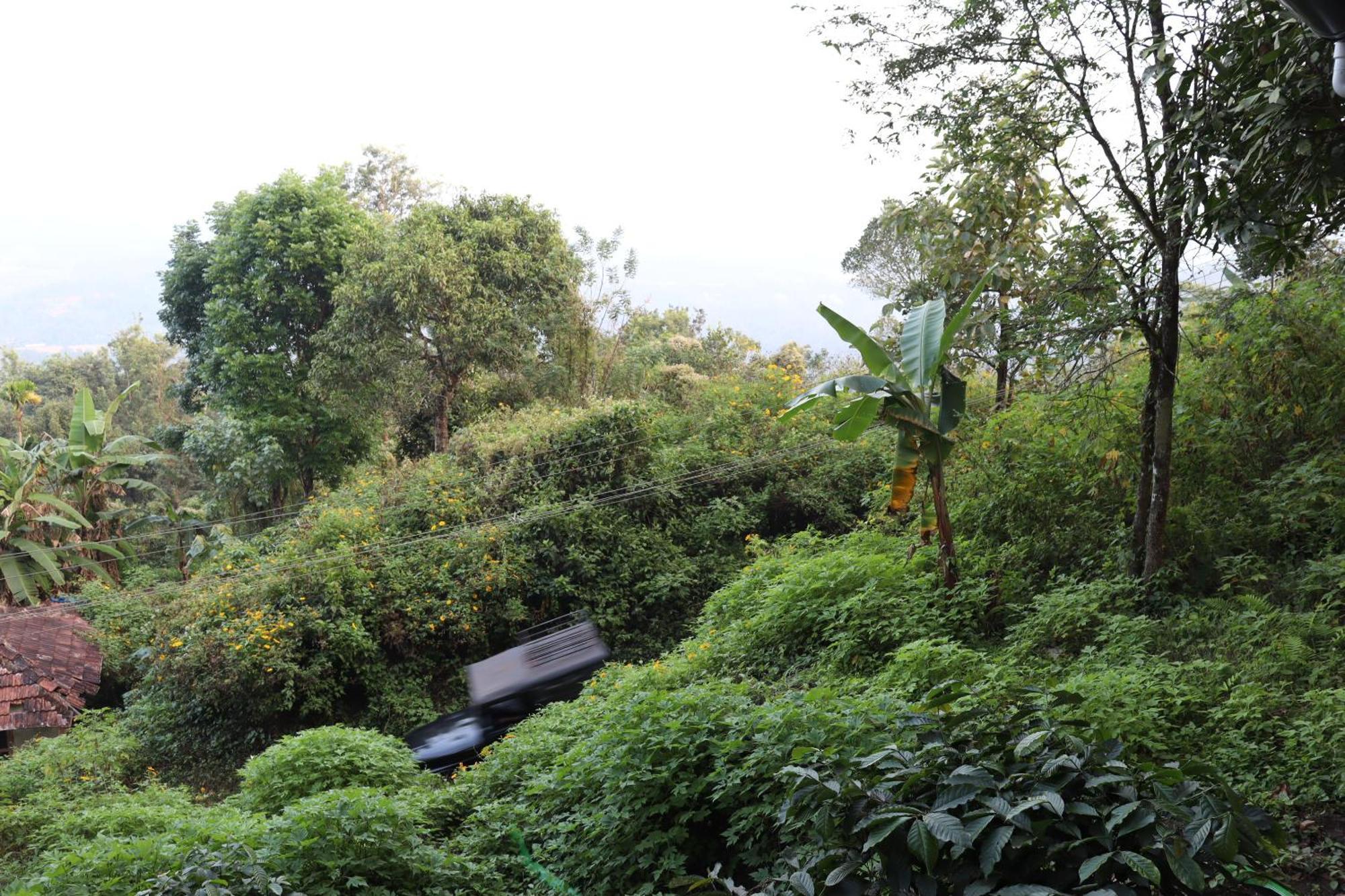 Farm stay Cicadas Nature - A Frame Wayanad