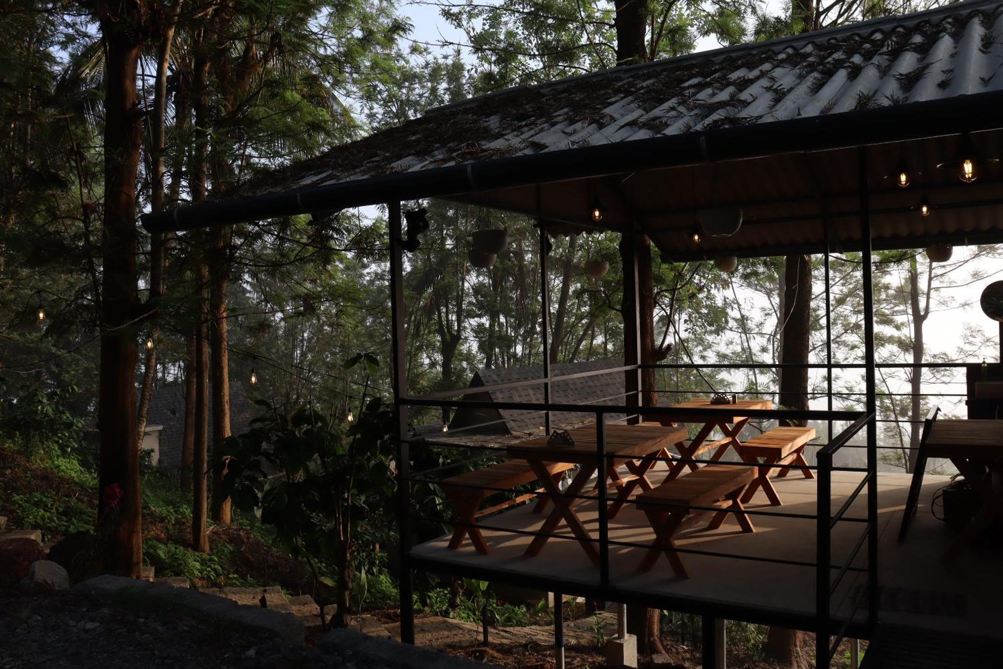 Cicadas Nature - A Frame Farm stay