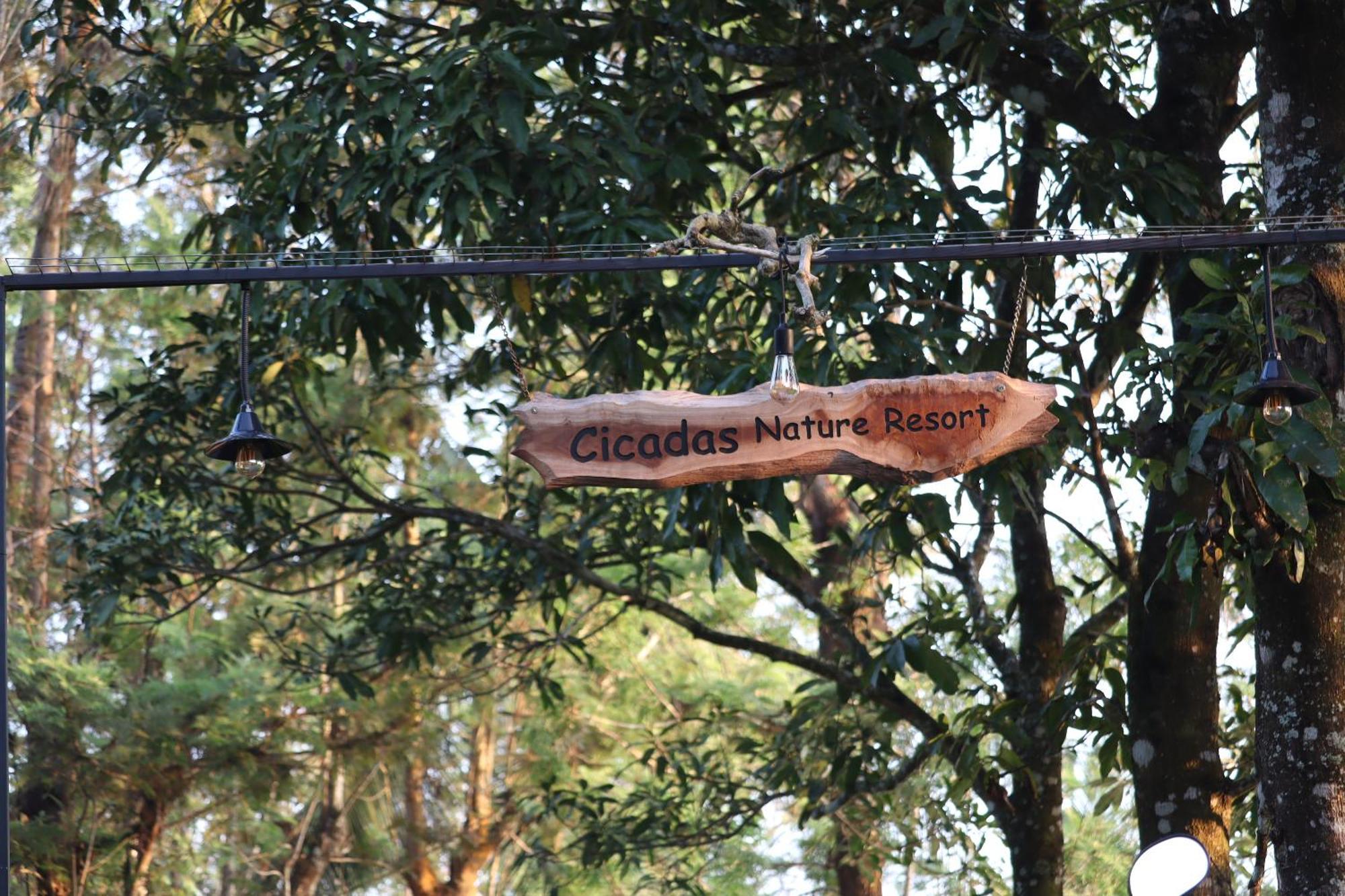 Cicadas Nature - A Frame Farm stay *