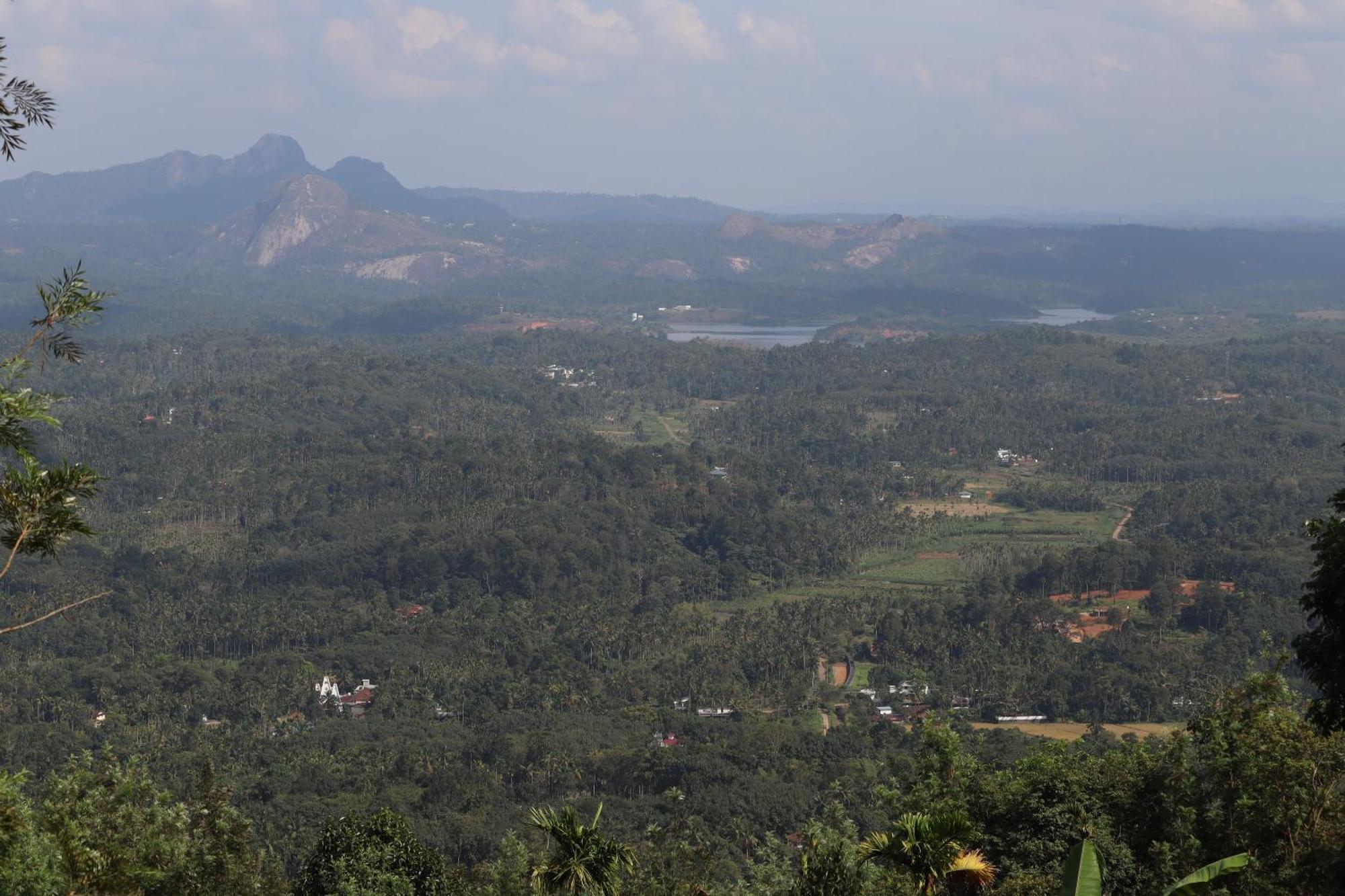 Cicadas Nature - A Frame Farm stay Wayanad