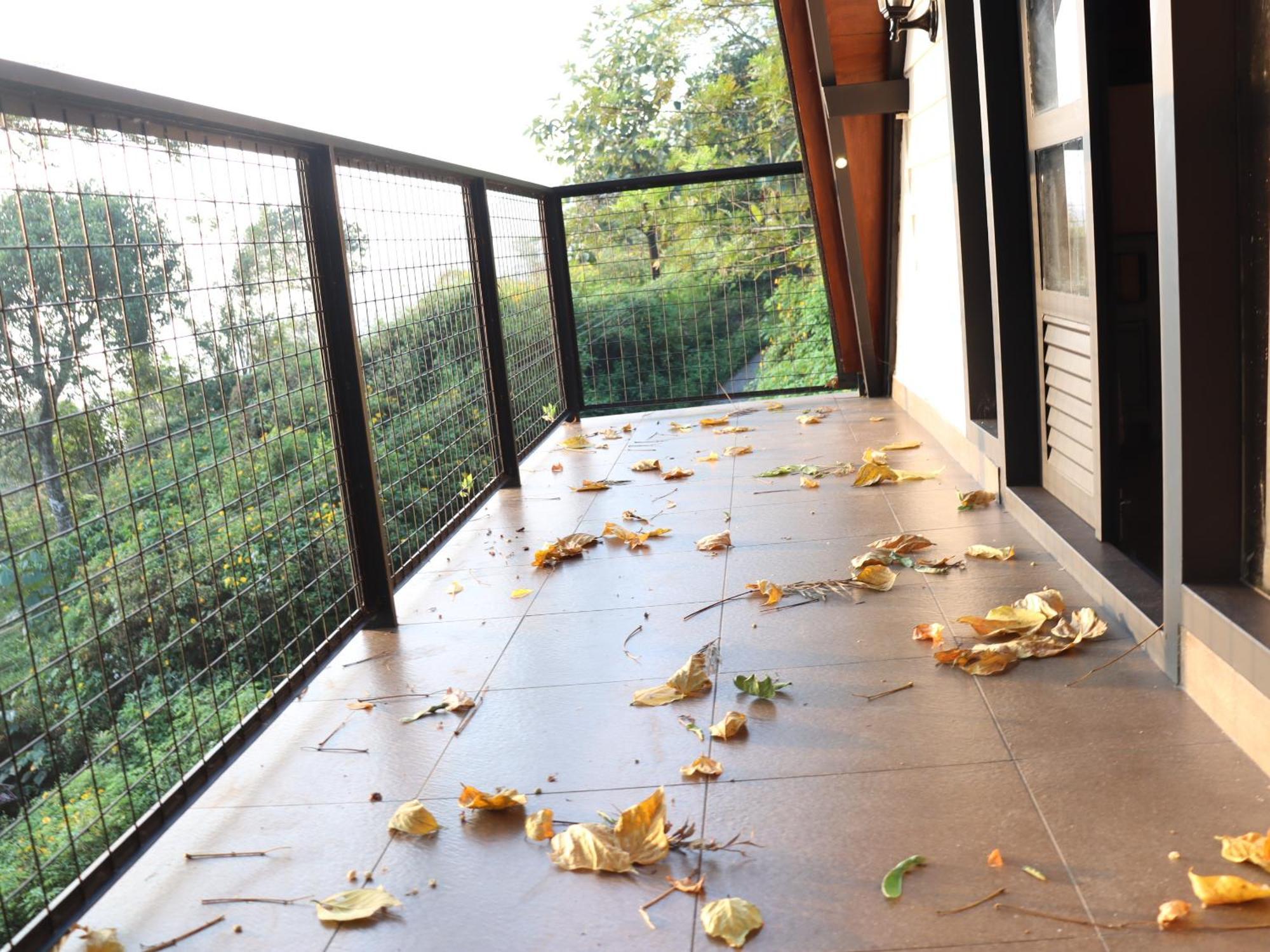 Cicadas Nature - A Frame Farm stay *