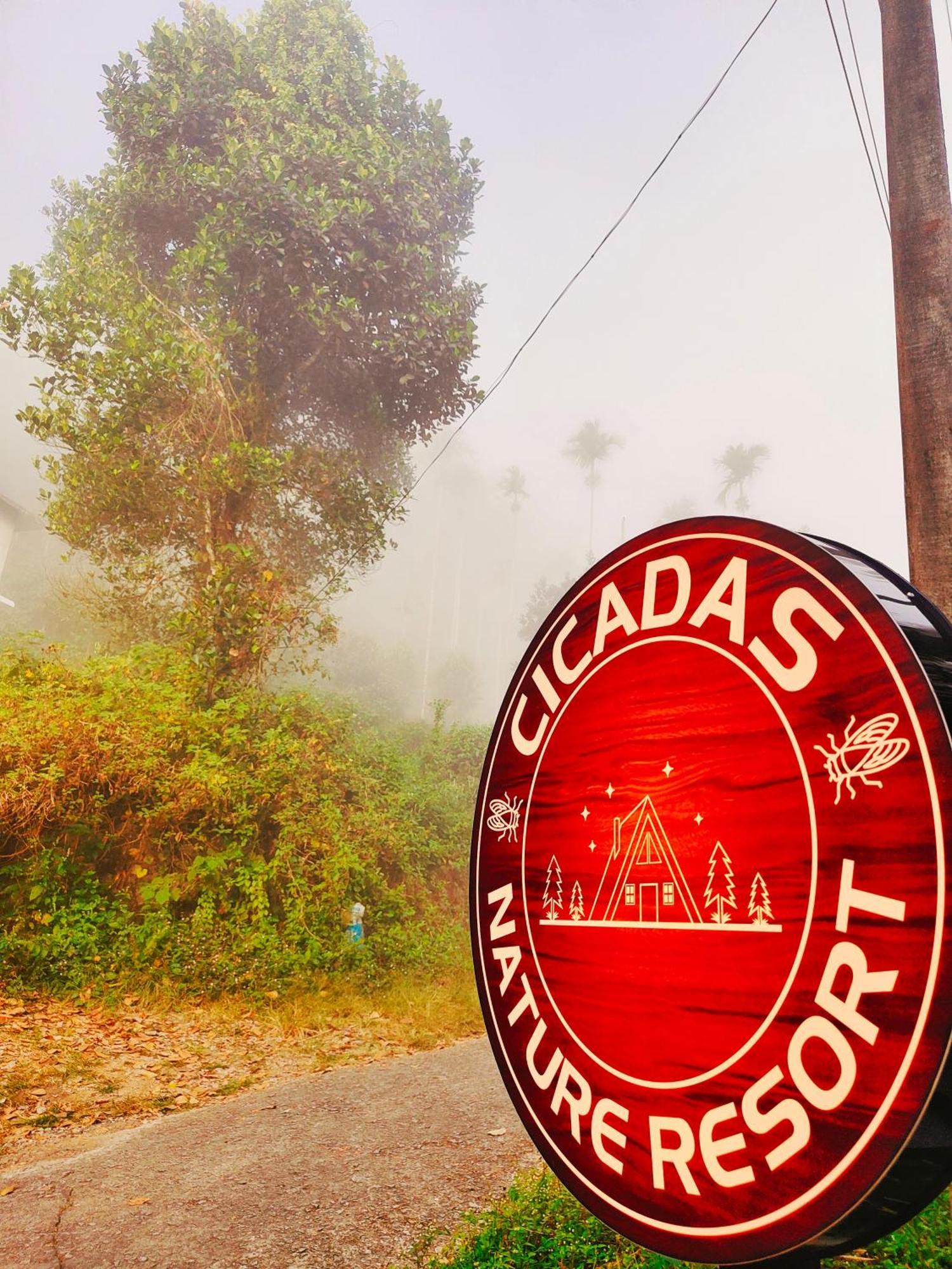 Cicadas Nature - A Frame Wayanad