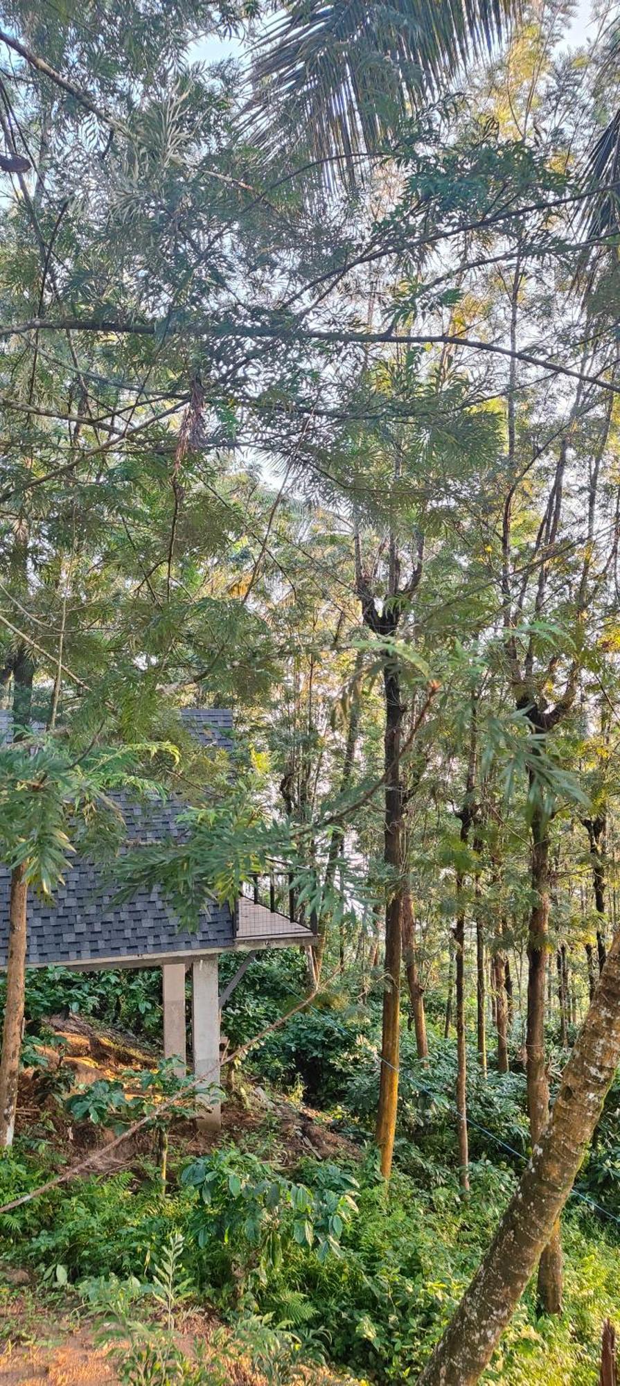 Cicadas Nature - A Frame Farm stay *